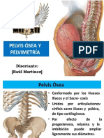 Pelvis Osea y Pelvimetria Raul Martinez PDF 130618195212 Phpapp01