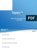Topex Solutii de Voce Pentru ITSP Si Corporate