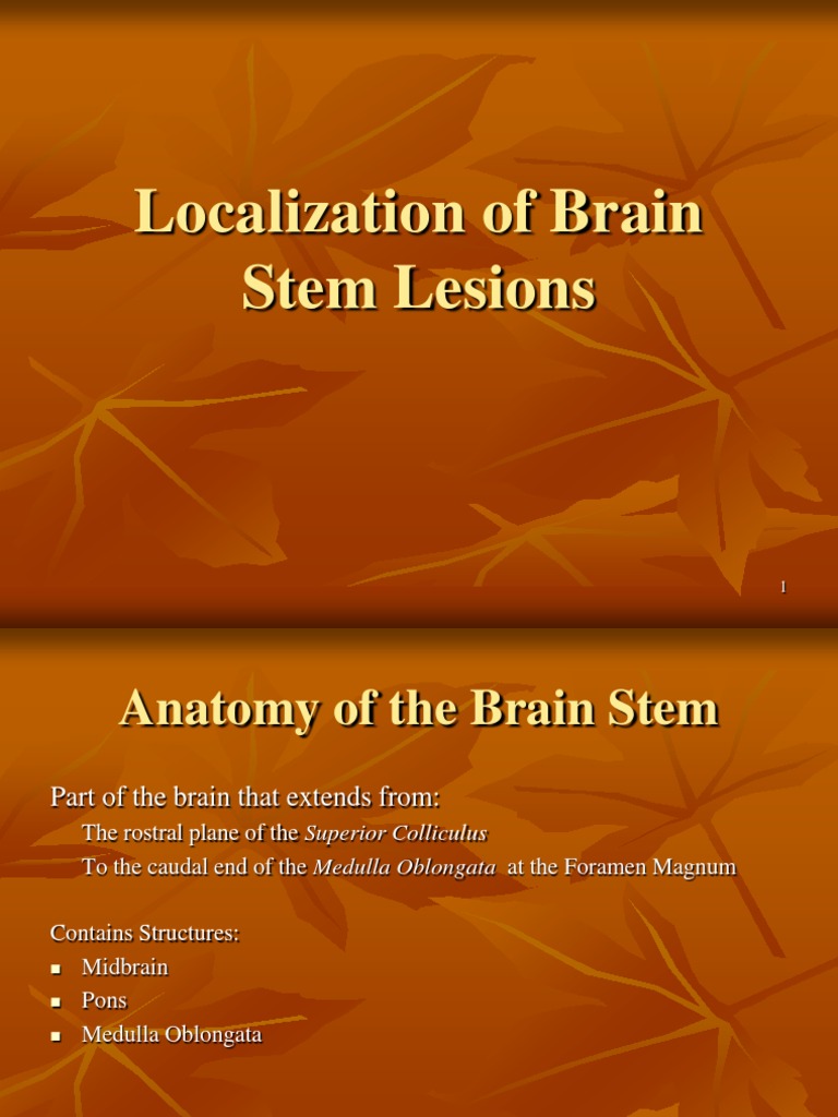 Localization of Brain Stem Lesions | PDF | Brainstem | Cerebellum