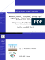 Geothermal Reservoir Modelling