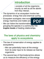 Trophic Levels of Feeding Relationships