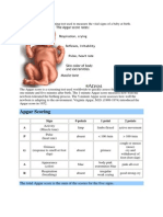 Apgar Score