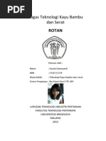 Download Rotan by Om Pamungkas SN213303984 doc pdf
