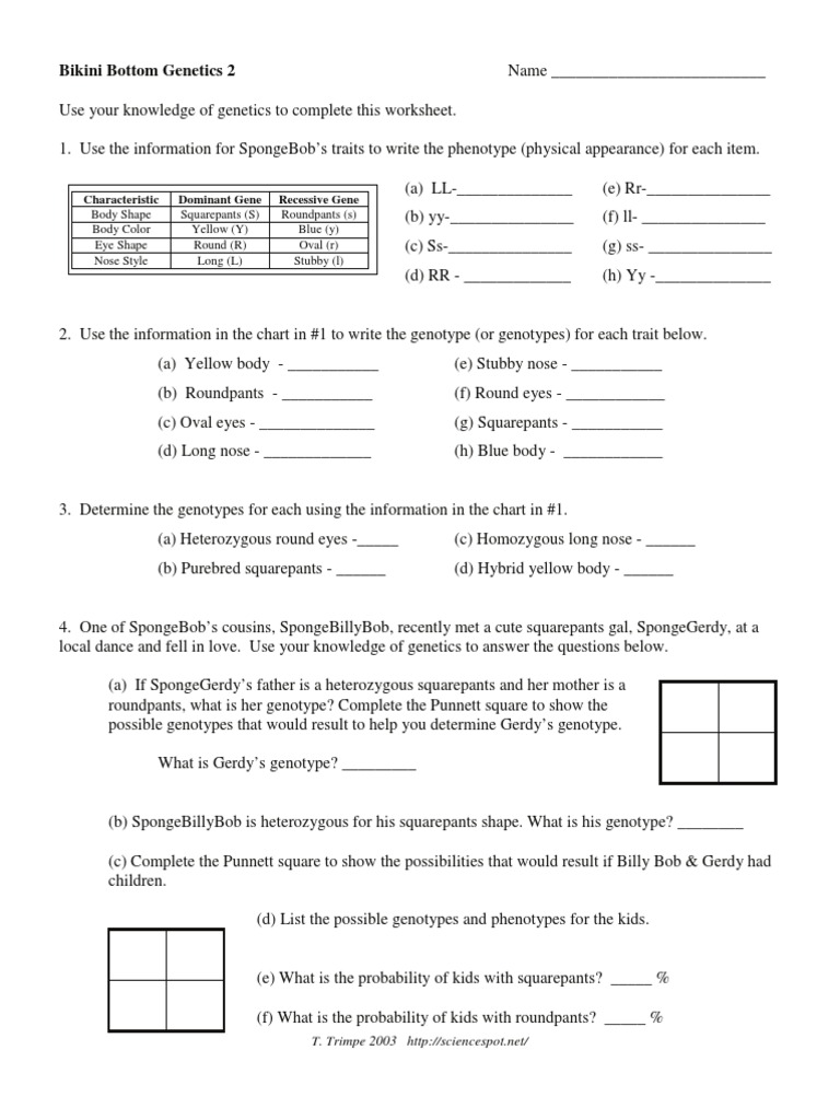 Bikini Bottom Genetics Worksheet 2 | PDF | Genotype | Zygosity