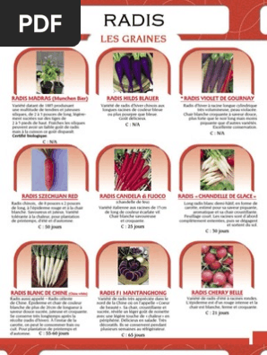 radis catalogue pdf mais navet