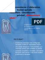 Instrumentarea Şi Obturarea