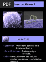 mitose