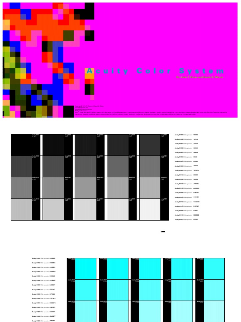 Acuity Color System | PDF | Intellectual Property Law | Justice