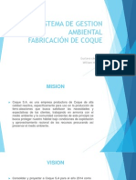 Gestión ambiental coque