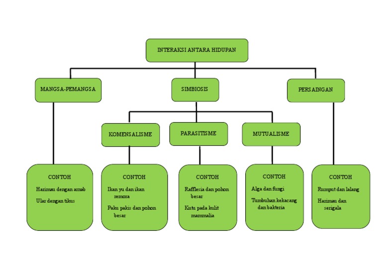 I-THINK Map For Science Form 2 Chapter 4 | PDF | Fiksi Umum
