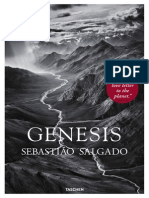 Salgado's Homage to Earth in GENESIS