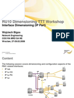 NSN RU10 Interface Dimensioning (IP Part)