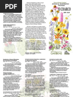 Download Botanical Illustration In ElCharco by Mervi Hjelmroos-Koski SN21340254 doc pdf