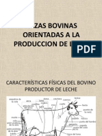 Razas Bovinas Orientadas a La Produccion de Leche