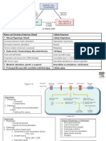 Causes, Types and Morphology of Cell Injury and Death