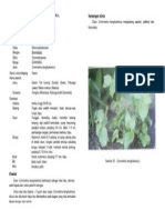 Gewor PDF