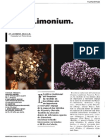 limonium 1.pdf