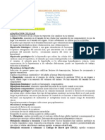 CÁNCER Y ADAPATACIÓN CELULAR PATOLOGÍA