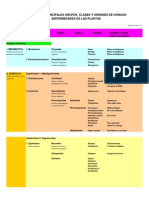 CLASIFICACION DE LOS PRINCIPALES HONGOS FITOPATÓGENOS