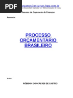 processo adm  brasileiro