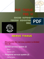 Nerve Intro Fbs 6 MT Histo