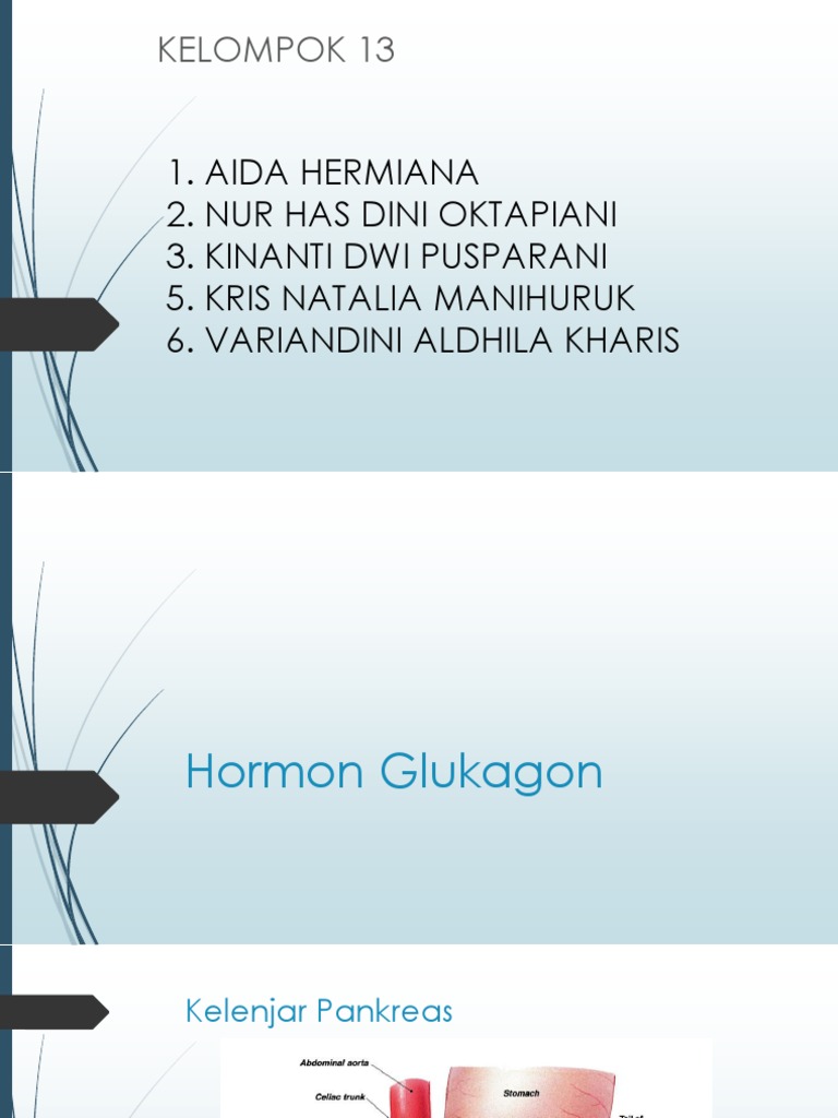 Hormon Glukagon PDF