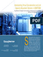 TranSwitch_Understanding Virtual Concatenation and Link Capacity Adjustment Scheme in SONET_SDH