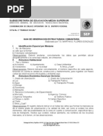 Guía de Observación Estructurada