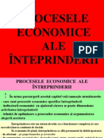 5 - Procesele - Economice