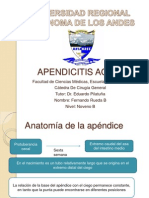 Apendicitis aguda Presentación