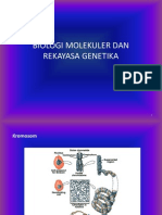 Biologi Molekuler Dan Rekayasa Genetika