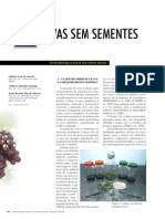 Uvas Sem Sementes - Biotecnologia