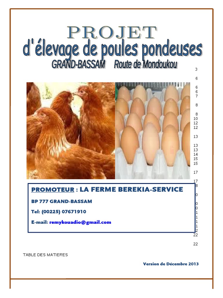 Plan D Affaires Elevage Pondeuses Pdf Investir Banques