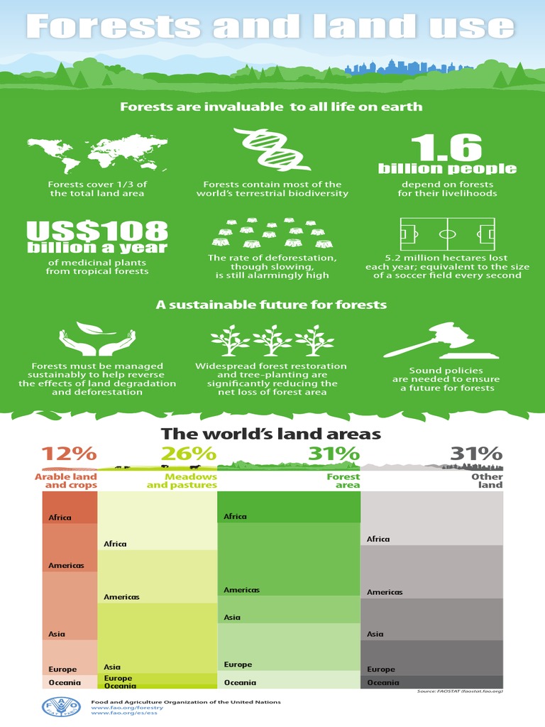 Forests and Land Use | PDF