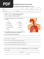 teste cn 6 respiratório