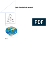 Niveles de Organización de la materia calix