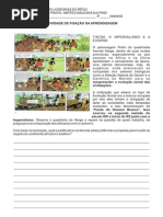 Exercicio Tintim e Imperialismo