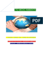 Proyecto Medio Ambiente