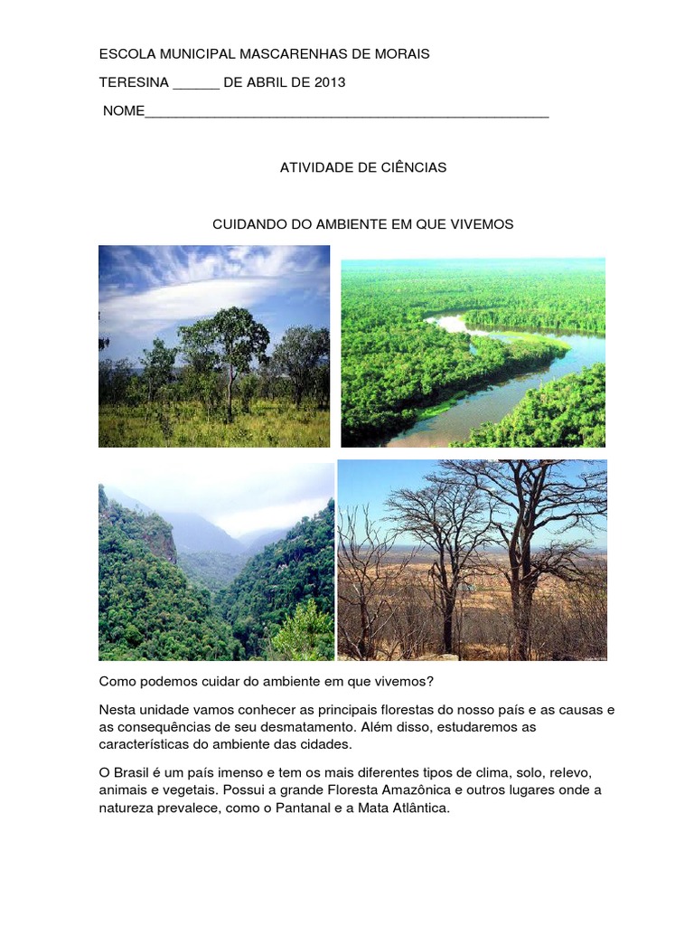 Desmatamento na Floresta Amazônica do Brasil cai para o menor nível desde  2015 | Amazon Watch, image size:768x1024