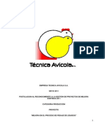 Informe TecAvicola