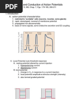 Action Potential Flowchart Explained | PDF | Action Potential ...