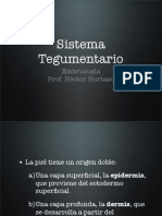 (19) Sistema Tegumentario