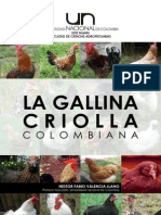 Gallinas Criollas Colombianas