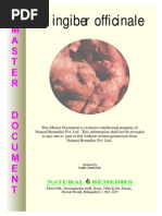 Download Jahe Zingiber officinale by Erladys Rumondor SN213643184 doc pdf