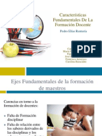 Características de La Formación Docente