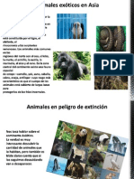 Animales exóticos en Asia