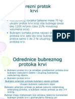 Bubrezni Protok Krvi