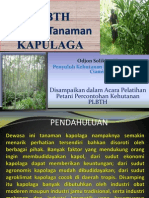 OPTIMALKANBUDIDAYAKAPOLAGA