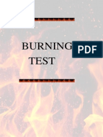 Burning Test Final