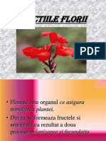 Functiileflorii